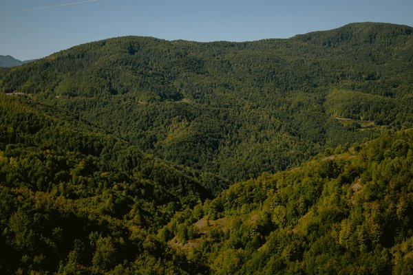 Panneau solaire photovoltaïque : avis clients et efficacité assurée